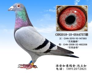 CHN2018-10-0544757