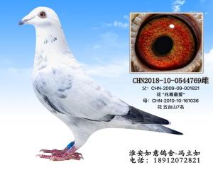 CHN2018-10-0544769